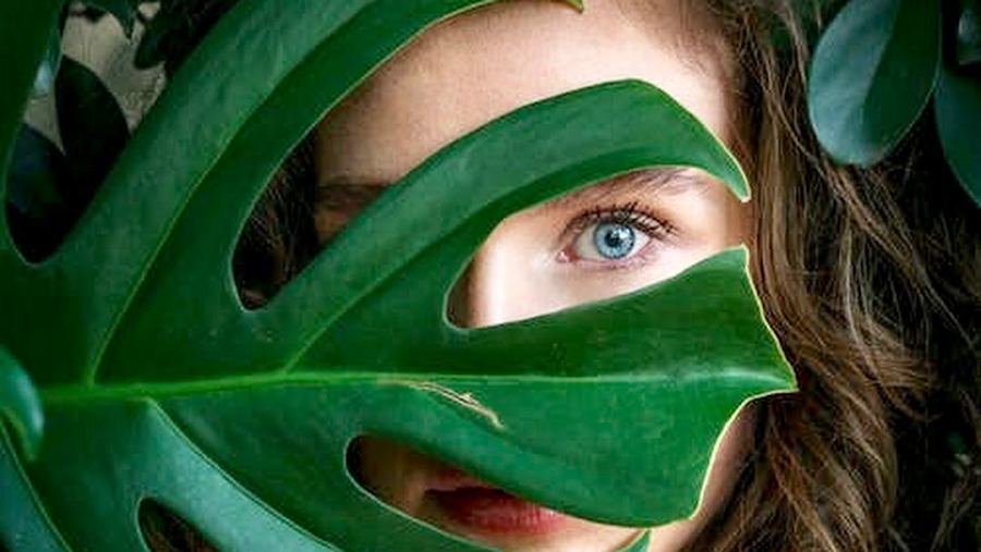 BIO parrucchieri Treviso - Kerastase Revivre Phitofilos