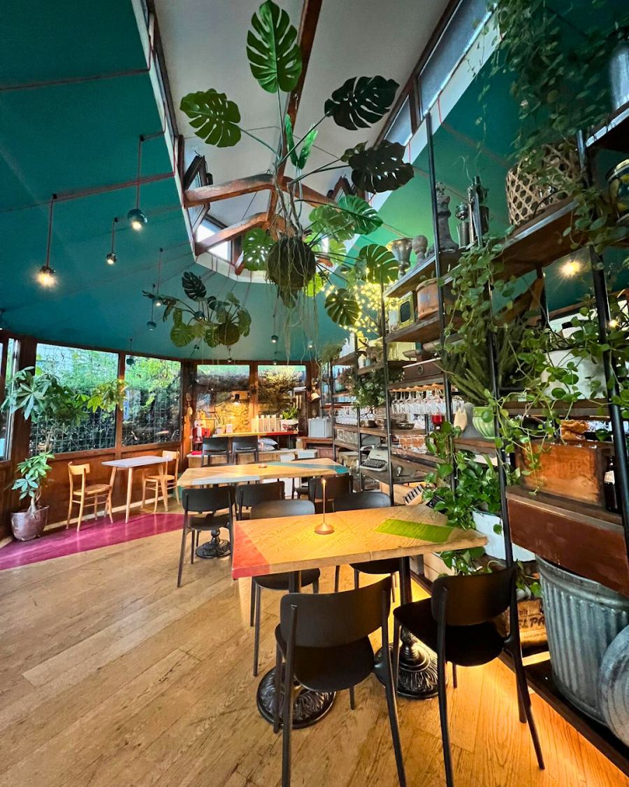 Dazio Garden Bar
