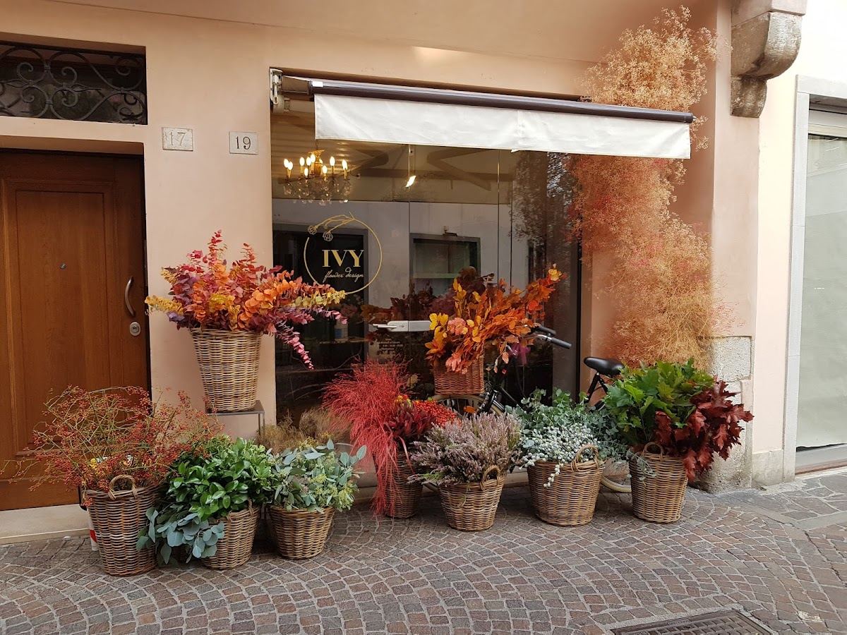 Fioreria Ivy Flower Design
