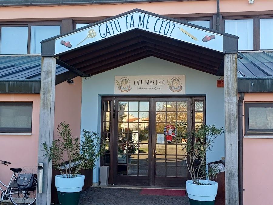 Gatu Fame Ceo?