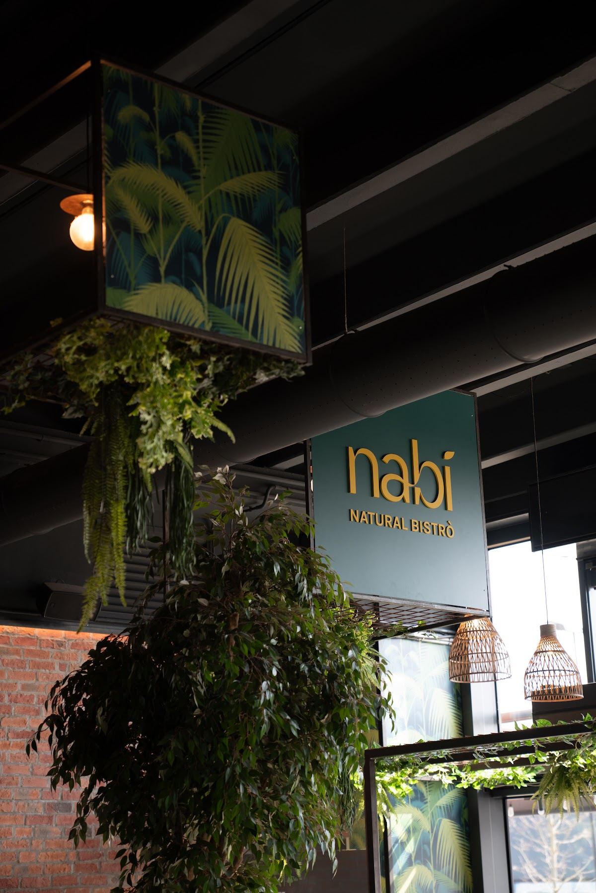Nabì - Treviso