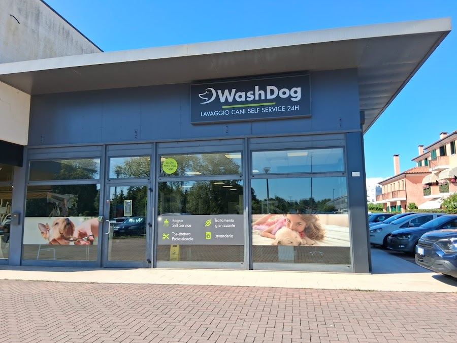 Wash Dog Treviso