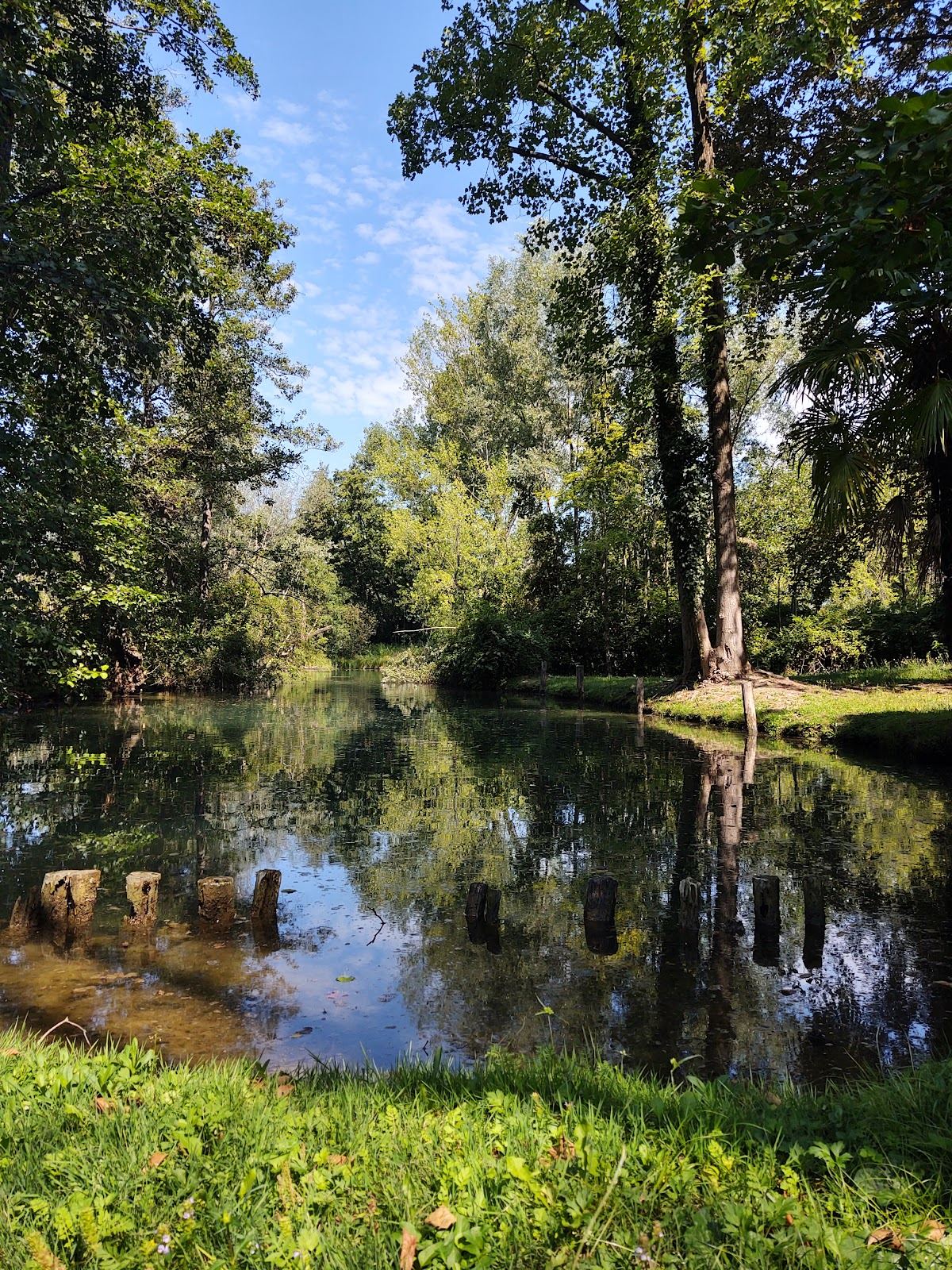 Parco del Sile — Fiera