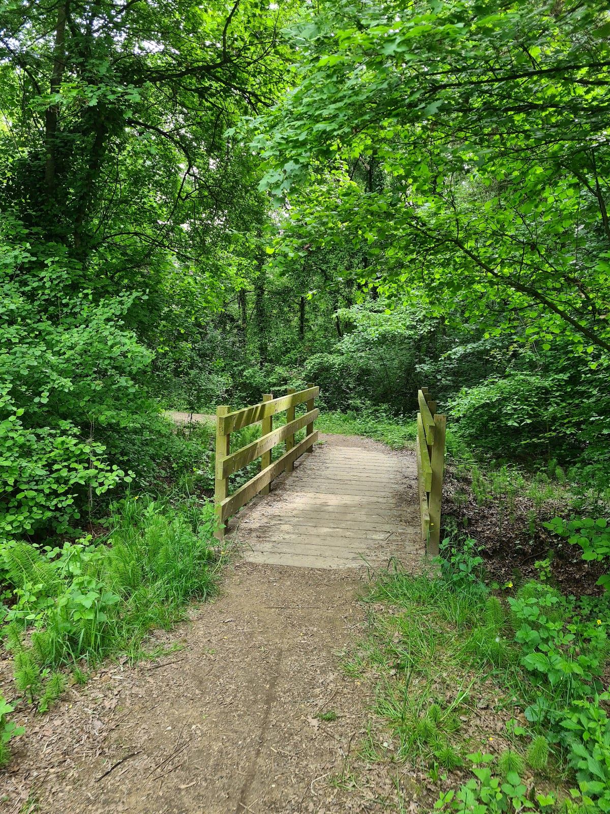 Parco di Sant'Artemio